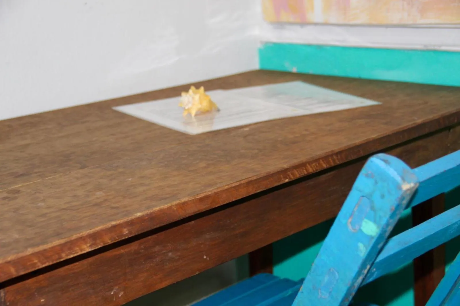 Hostel Casa Samay Cozumel